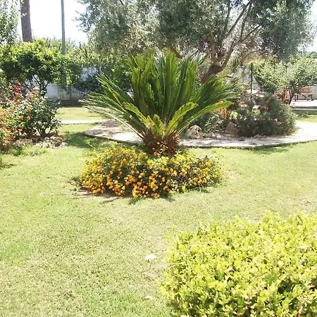Il Giardino Degli Ulivi Apartment Giugliano In Campania