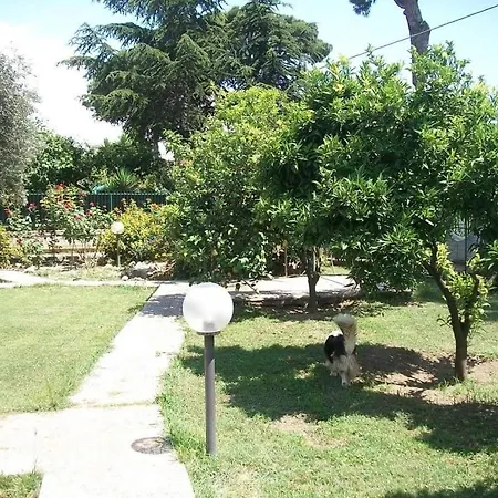 Il Giardino Degli Ulivi *