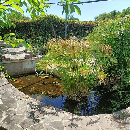 Il Giardino Degli Ulivi