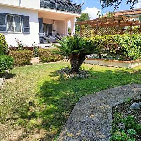 Il Giardino Degli Ulivi *