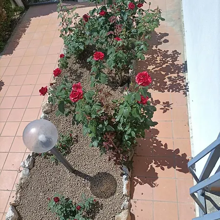 아파트 Il Giardino Degli Ulivi 줄리아노인캄파니아